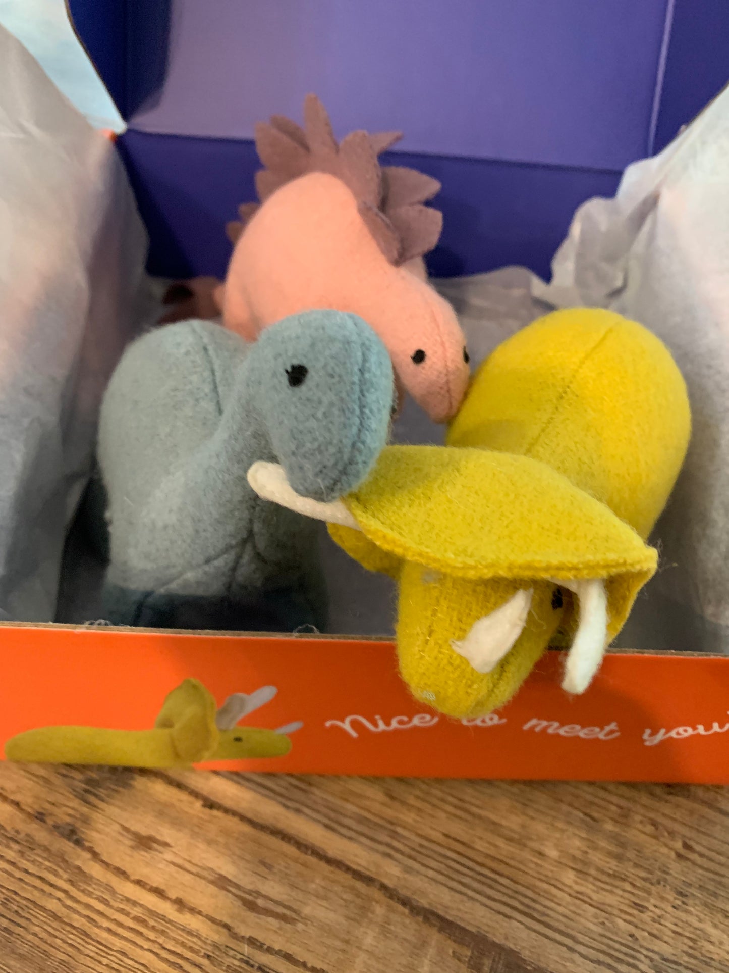 Ollie Ella Dinosaurs