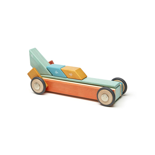 Tegu 42 Piece Magnetic Wooden Block Set