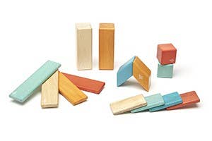 Tegu 14 Piece Magnetic Wooden Block Set