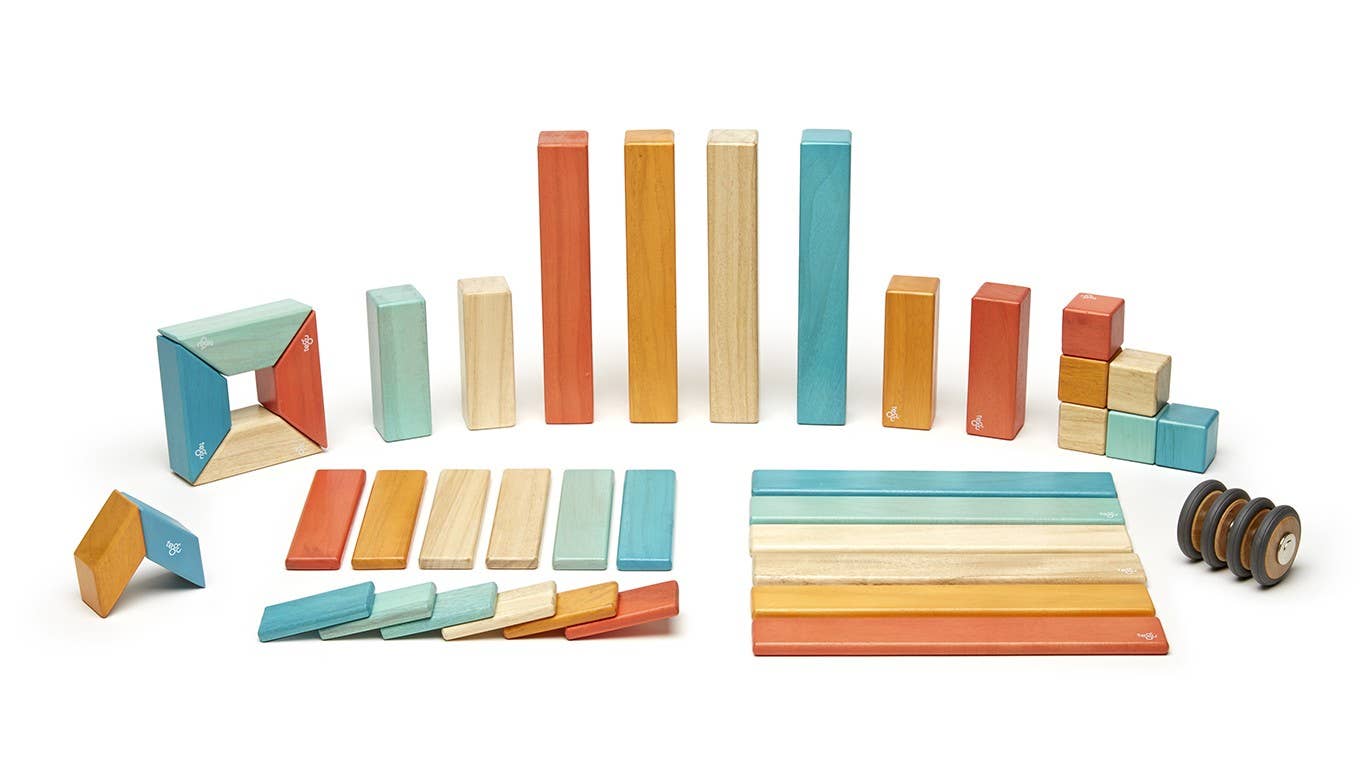 Tegu 42 Piece Magnetic Wooden Block Set