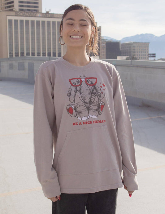 Be A Nice Human Pullover