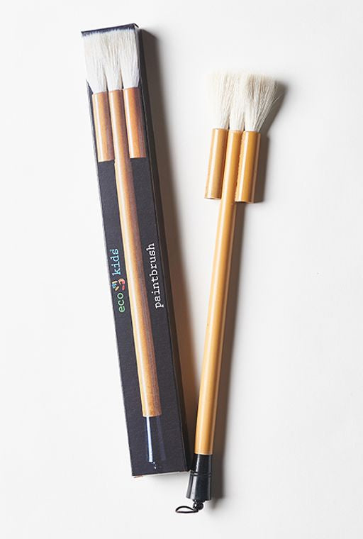 Eco-friendly paint brush