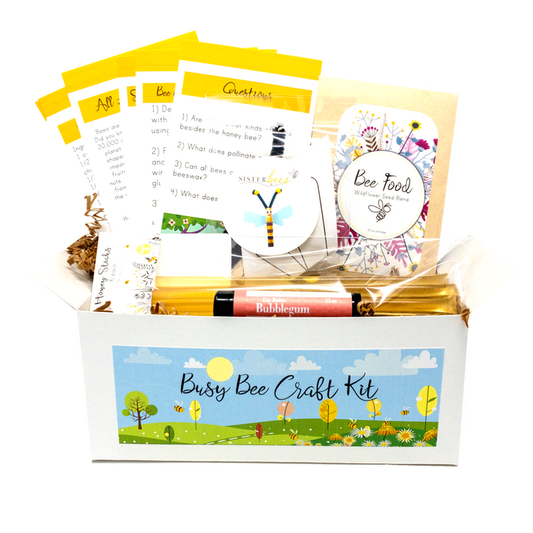 Busy Bee Kidz Kit